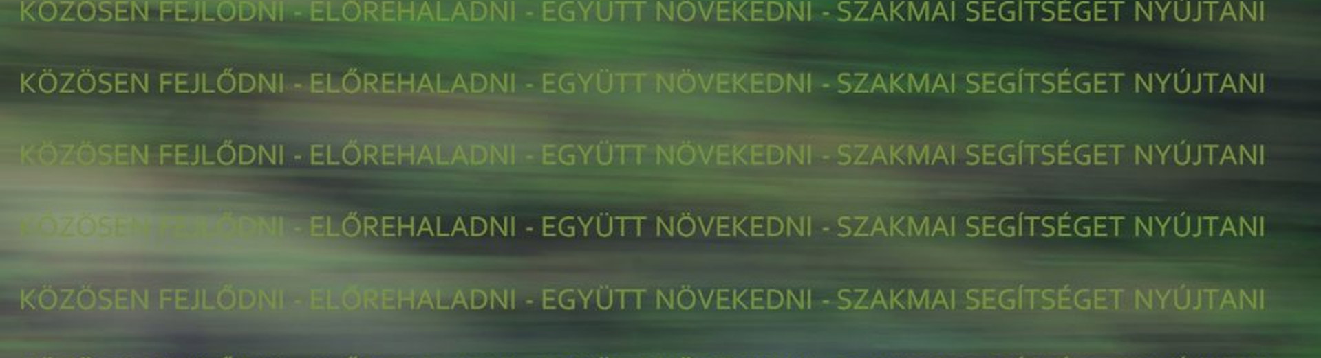 Energetikai szakreferens
